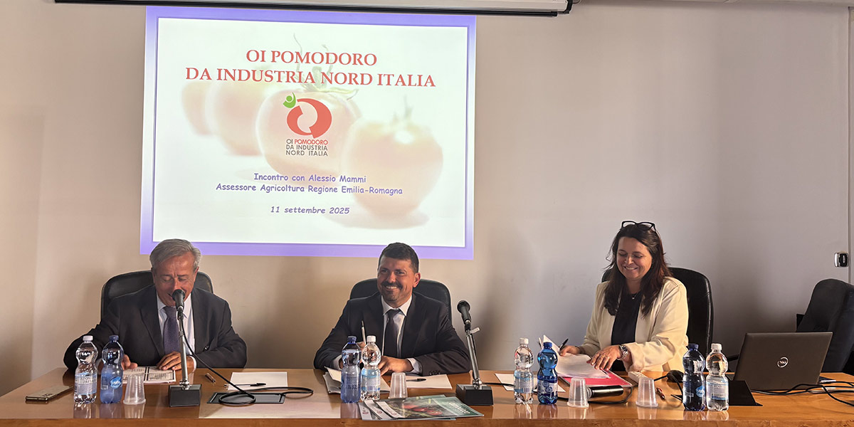 Campagna pomodoro da industria 2025: ottima qualità ma rese deludenti
